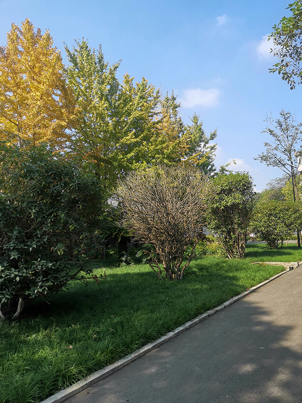 多宝(中国)官方