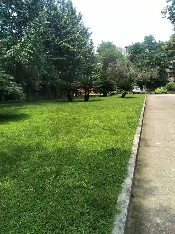 多宝(中国)官方